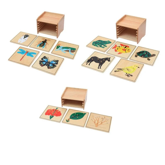 Cabinet de Zoologie Montessori
