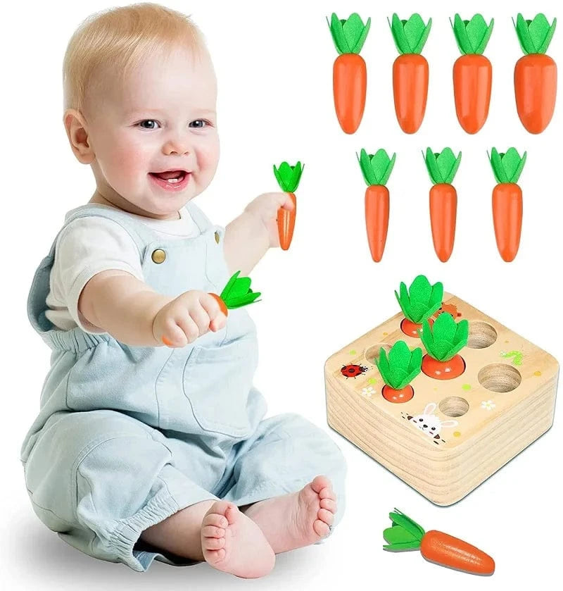 Jeu Carottes Montessori