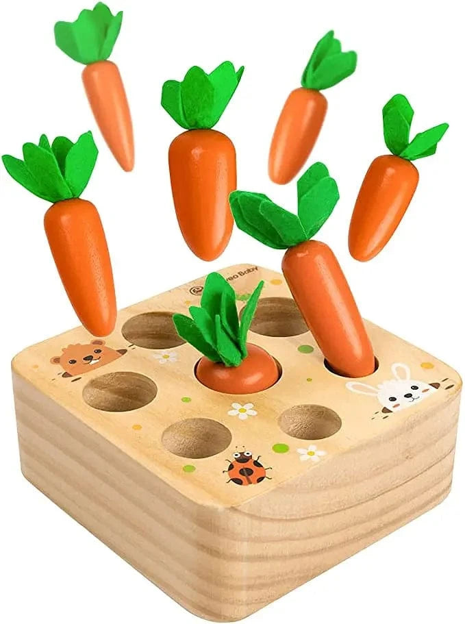 Jeu Carottes Montessori