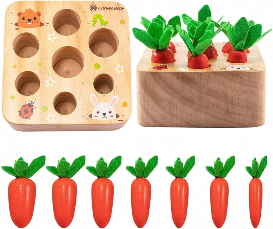 Jeu Carottes Montessori