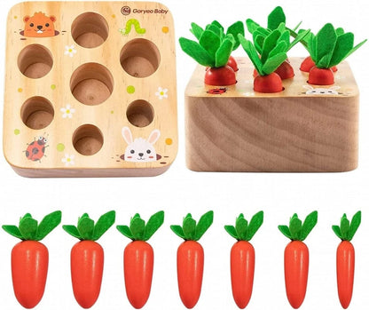 Jeu Carottes Montessori