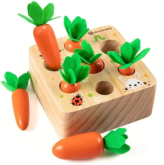 Jeu Carottes Montessori