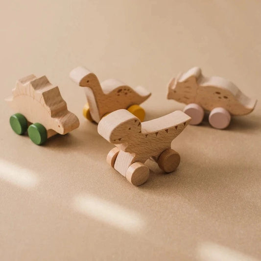 Jeu d'Imitation Montessori Dinosaure