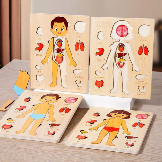 Puzzle Corps Humain Montessori