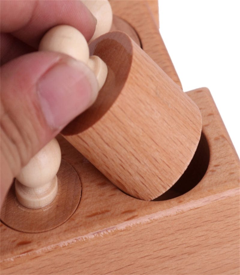 Puzzle Encastrable Montessori
