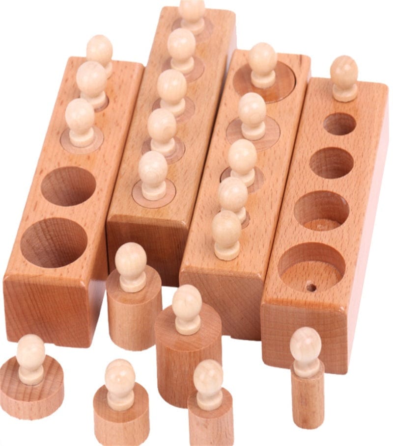 Puzzle Encastrable Montessori